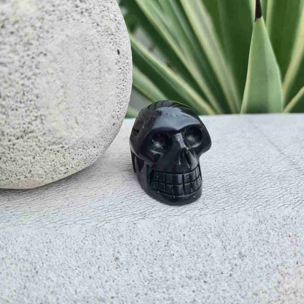 Shungite Skull - Goddess Love Redcliffe